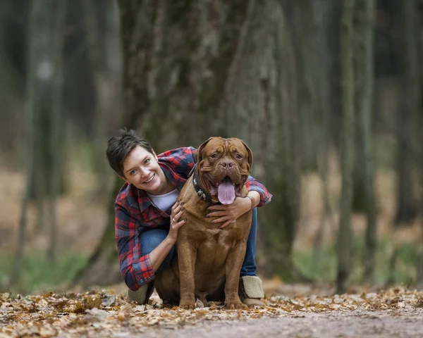 Dogue de Bordeaux en bosque otoñal —  Fotos de Stock