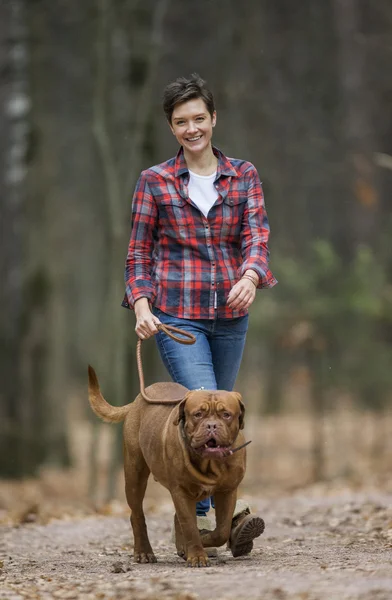 Bordeauxdog in herfst bos — Stockfoto