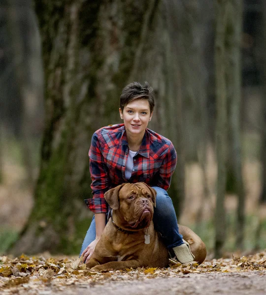 Dogue de Bordeaux en bosque otoñal —  Fotos de Stock