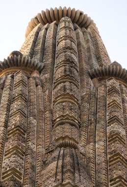 Vishvanatha Tapınağı'nda erotik insan heykeller