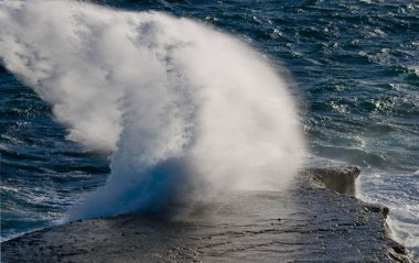 Pasifik, Galapagos Adaları
