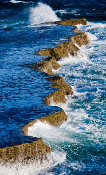 Pacific, Galapagos Islands — Stock Photo, Image