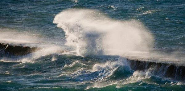 Pacific, Galapagosöarna — Stockfoto