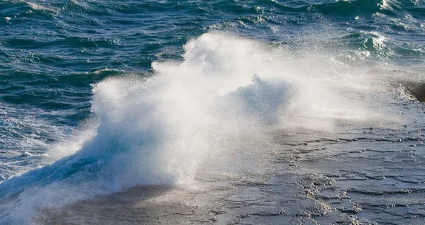 Pacific, Galapagosöarna — Stockfoto