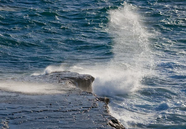 太平洋、ガラパゴス諸島 — ストック写真