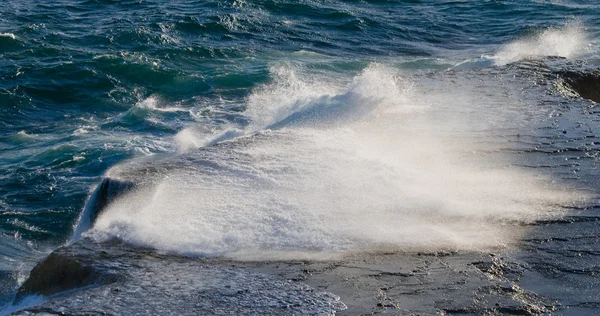 太平洋、ガラパゴス諸島 — ストック写真