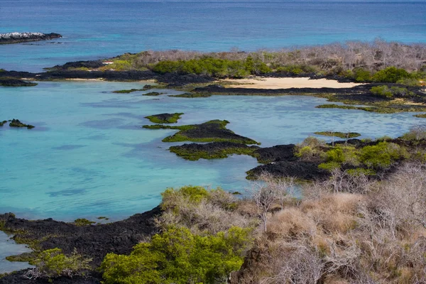 ガラパゴス諸島の風景 — ストック写真