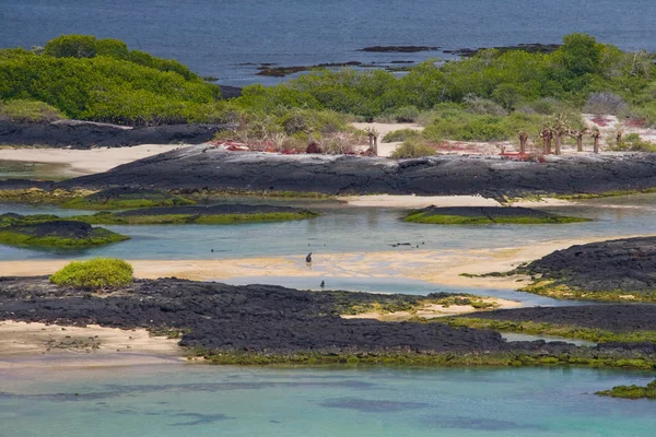 Галапагоські острови краєвид — стокове фото