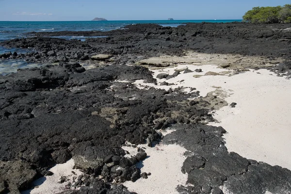 Black rocks on seashore — Stock Photo, Image