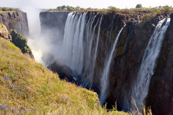 Weergave van Victoria Falls vanaf de grond. — Stockfoto