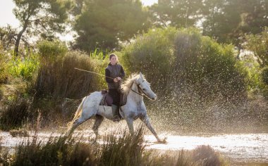 Binici beyaz Camargue ATI