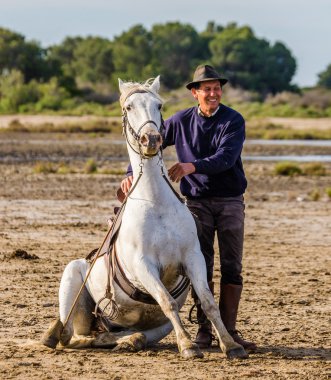 Binici beyaz Camargue atı ile