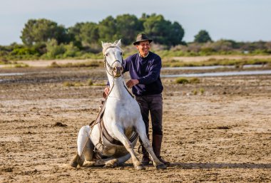 Binici beyaz Camargue atı ile