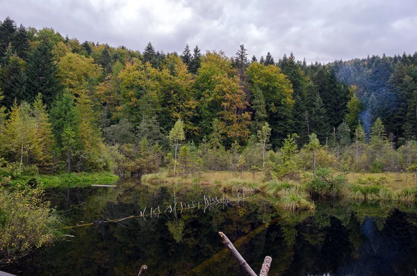 Landskap — Stockfoto