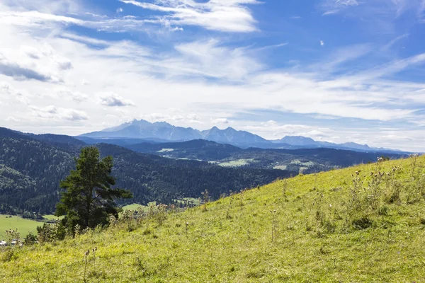 Slovakya'dan görülen Tatra Dağları doruklarına