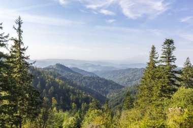 Mavi izi Przehyba dağ, Polonya tepesinde görüntülemek