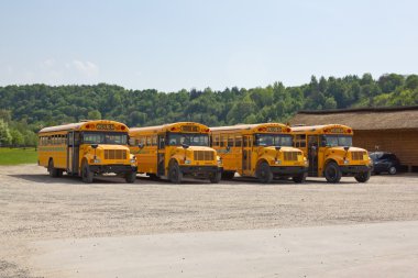 sarı okul otobüsleri