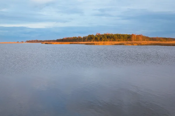 Wyspie Sobieszewskiej w pobliżu Gdańsk, Polska — Zdjęcie stockowe