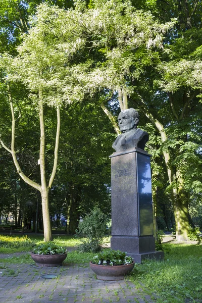 Monument of Stefan Zeromski, one of the greatest Polish writers — Stock Photo, Image