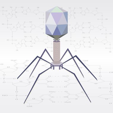 Vector virus bacteriophage model clipart