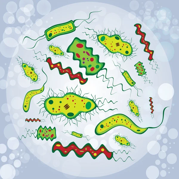 Ilustración de bacterias — Vector de stock