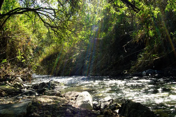 Nehirde gökkuşağı