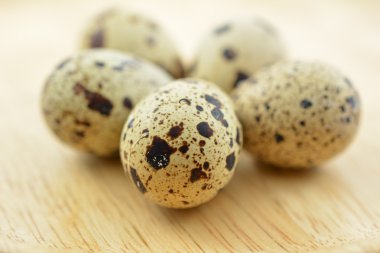 Quail eggs clipart