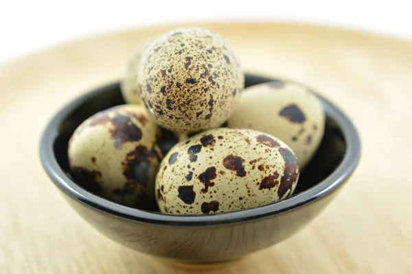 Ovos de codorna — Fotografia de Stock