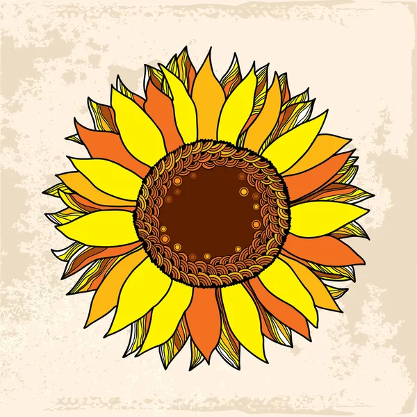 Krásné zlaté slunečnice — Stockový vektor