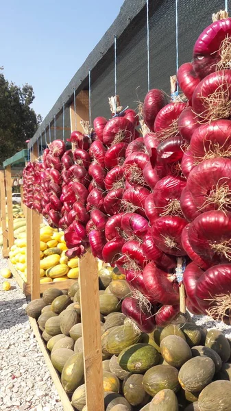 kırmızı salata Kırım soğanı