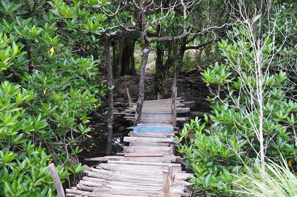 Bridge — Stock Photo, Image