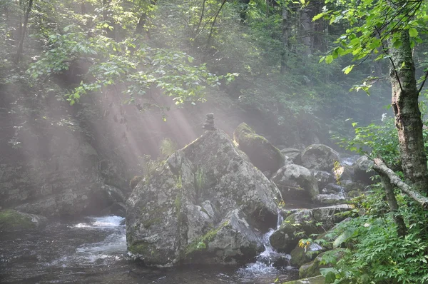 Güneş ışığı taşlar Nehri üzerinde