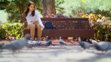 Çocuk sokağın ortasına ekmek atıyor. Güneşli parkta güvercinleri elleriyle besleyen zarif bir kız. Hayvanları doğada besliyor. Kötü alışkanlık..