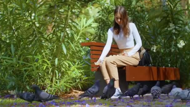 Человек Веселится Диким Животным Бамбуковом Парке Девушка Скамейке Бросает Голубя — стоковое видео