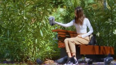 Şehir parkında güvercinleri besleyen bir kız. Bankta oturup kuşlara yemek fırlatmak. Sokakta insanların yanında bir güvercin sürüsü. Kentsel kuşlar insanları besledi. Şehir parkındaki bankta oturan kadın.