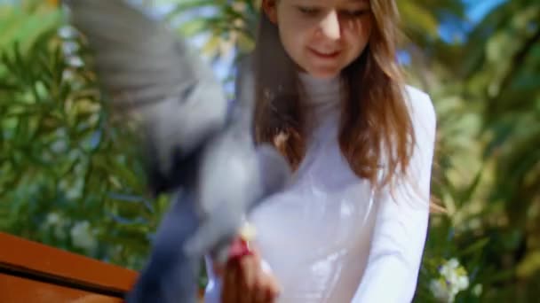 Barnet Leker Gärna Med Levande Fågel Gatan Sann Glädje Och — Stockvideo