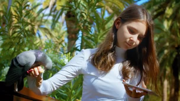 Dívka Krmí Ptáka Drží Ruce Aby Selfie Fun Parku Zvířaty — Stock video