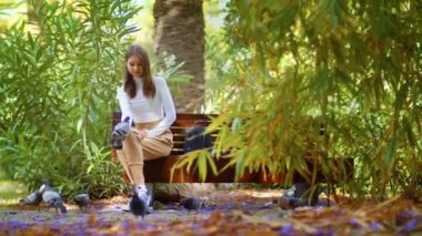İnsanlar bambu parkında vahşi hayvanlarla eğleniyor. Bankta oturan bir kız güvercini bir elden diğerine fırlatır..