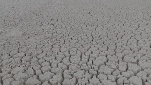 Covid 19生態学的災害のために乾燥した海の砕けた地面の上の空中映像 — ストック動画