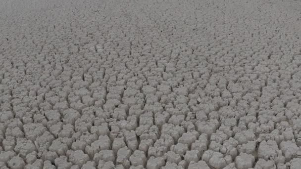 Voo Filmagem Aérea Sobre Solo Rachado Oceano Seco Por Causa — Vídeo de Stock