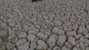 Ekolojik Felaket. Coronavirus ve Covid-19 enfeksiyonlarının sayısındaki ani artışın ardından gezegen, sosyal hayat üzerinde çarpıcı bir etkiye sahiptir. Çöl insansız hava aracını kirlet.. 