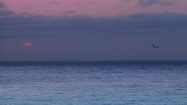 冷たい海の上の黄金の日の出明るい厚い雲の中 — ストック動画