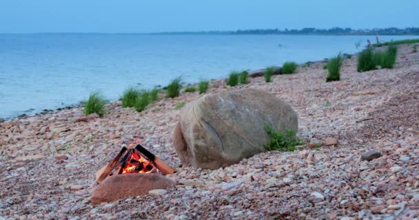 石で湖の岸にたき火 薪は赤い炎で燃え 木炭は喫煙しています ハイキング 夕方の観光客のためのキャンプで暖まるための心 — ストック動画