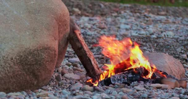 Sappige Zalmsteak Forel Wordt Gegrild Een Barbecue Een Vlam Van — Stockvideo