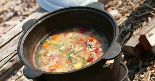 Cozinha Tradicional Russa Orelha Lúcio Uma Fogueira Chapéu Jogador Sopa — Vídeo de Stock