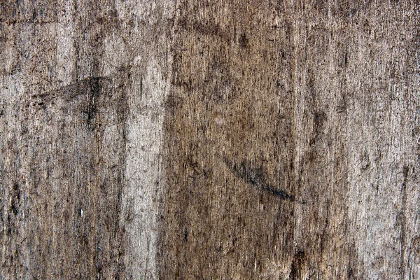 Moss és a penész hatással egy fa deszka. — Stock Fotó