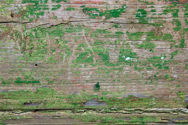 Régi woodan fala, mint háttér kopott festék — Stock Fotó