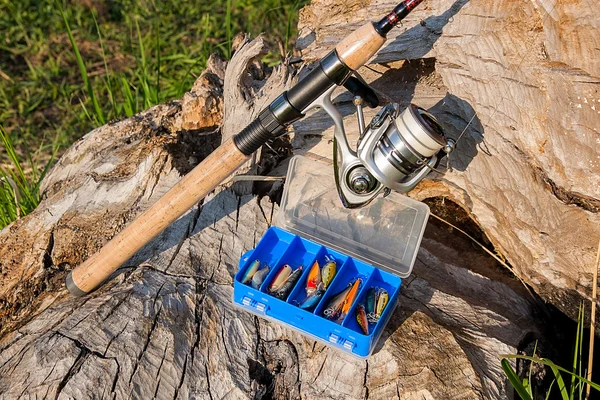 リールとさまざまな種類には、自然の餌の釣り竿 — ストック写真