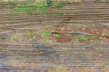 Eski woodan duvar, arka plan olarak eski püskü yeşil boya
