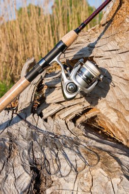 Olta ve reel doğal zemin üzerine. Balık stringer. 